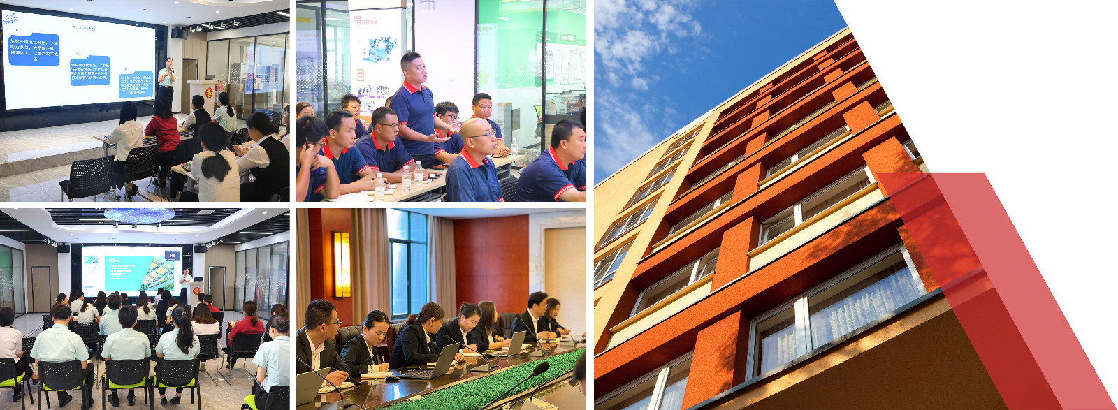 美寶學校文化 美寶學校文化